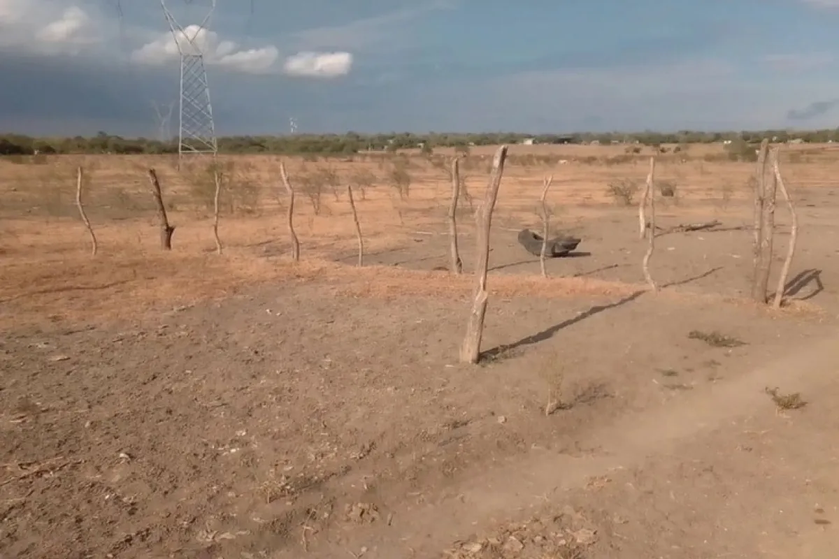 Imagen de Binoticias