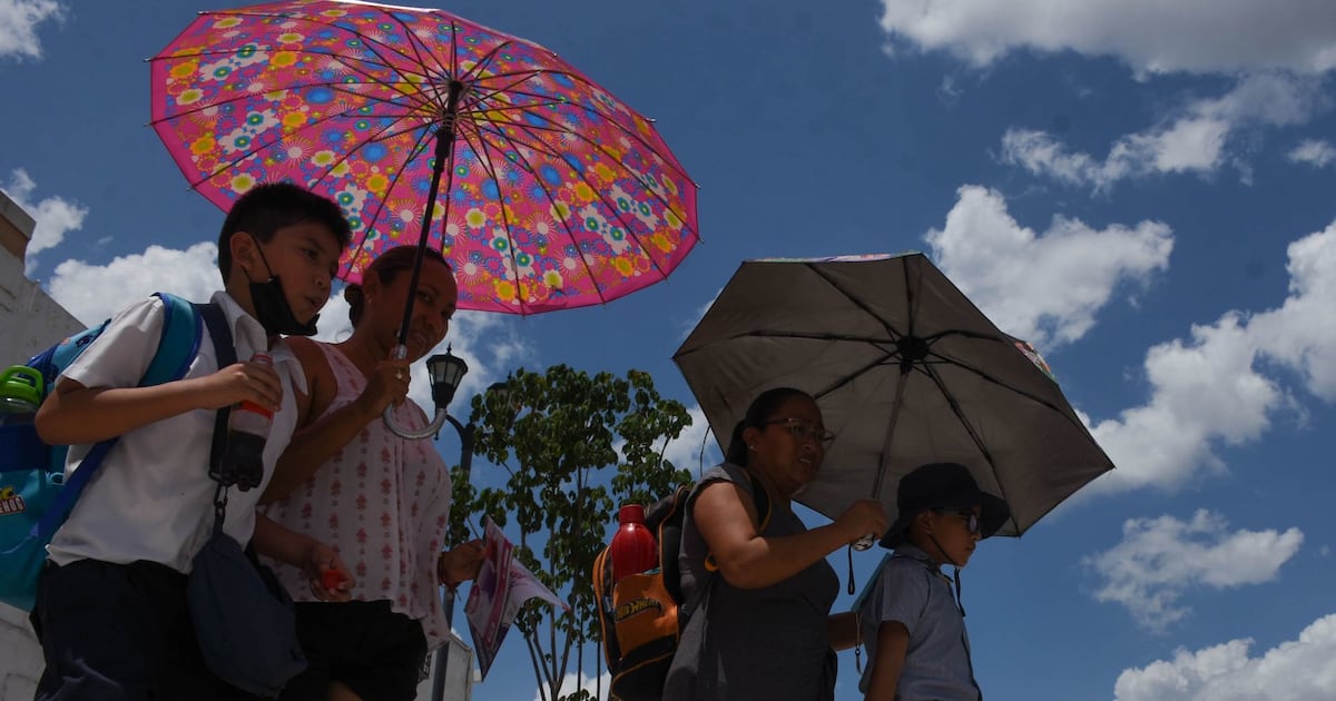 Imagen de Elfinanciero