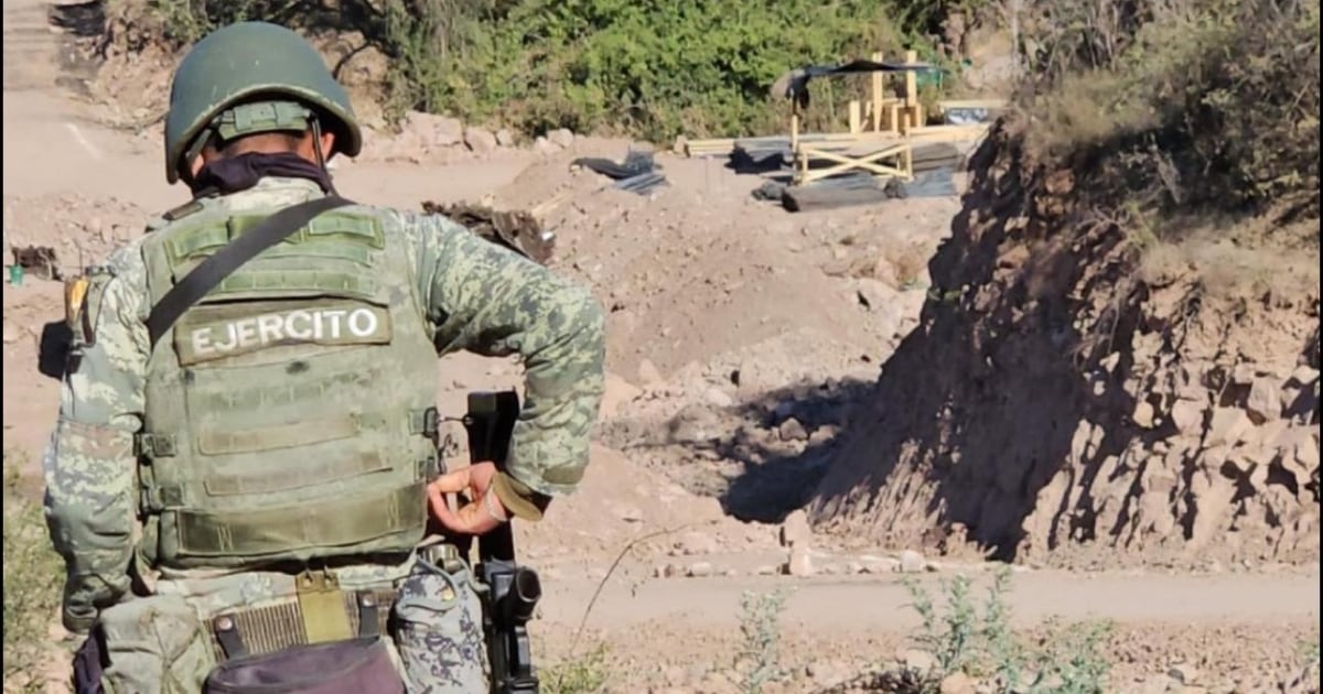 Imagen de Elfinanciero