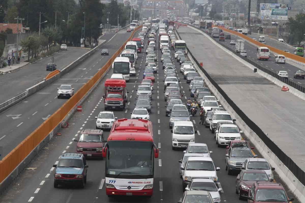 Imagen de Grupoanimal