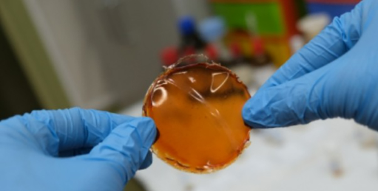 Imagen de Industriaquimica Es