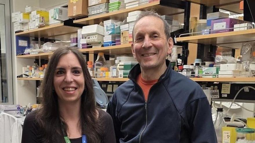 Imagen de Levante Emv