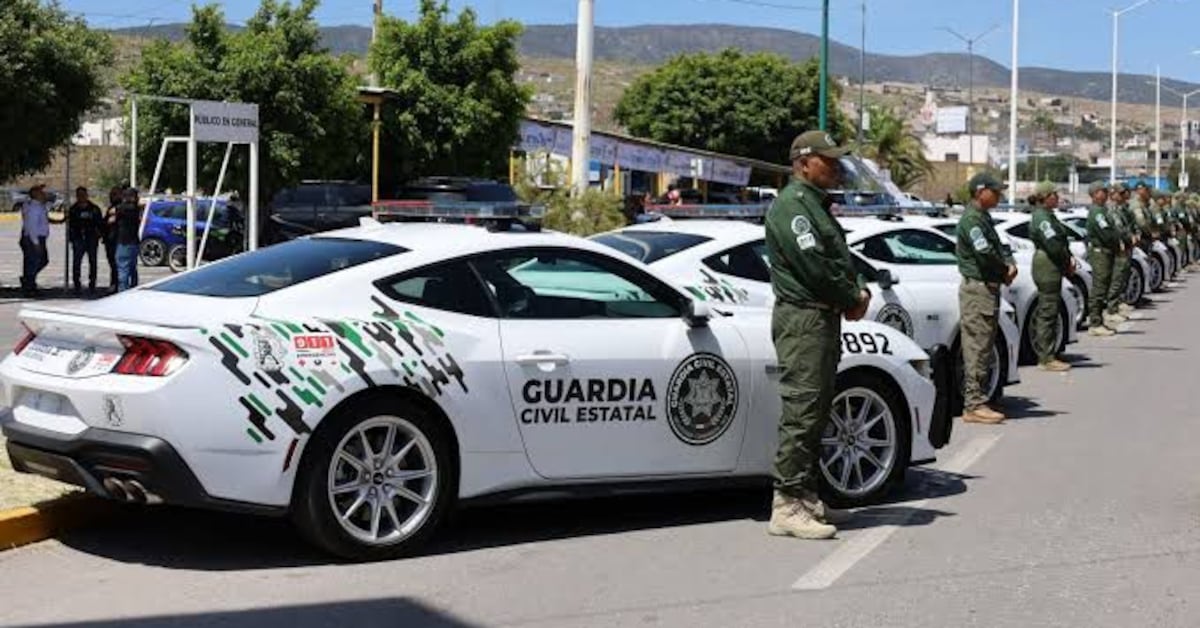 Imagen de Sdpnoticias