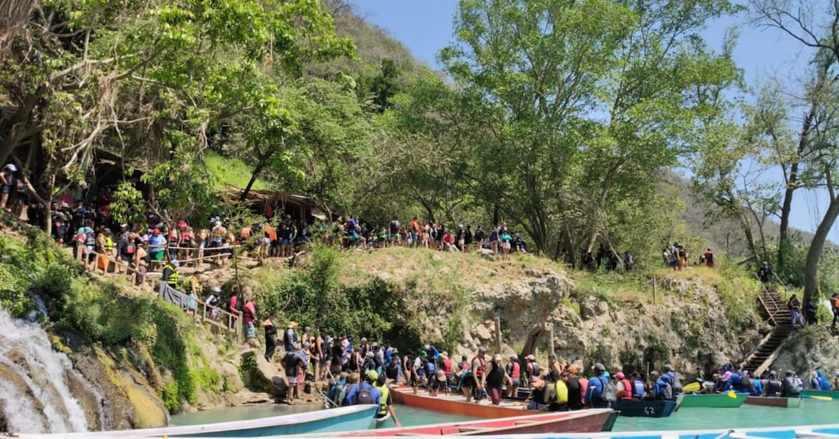 Imagen de Sdpnoticias