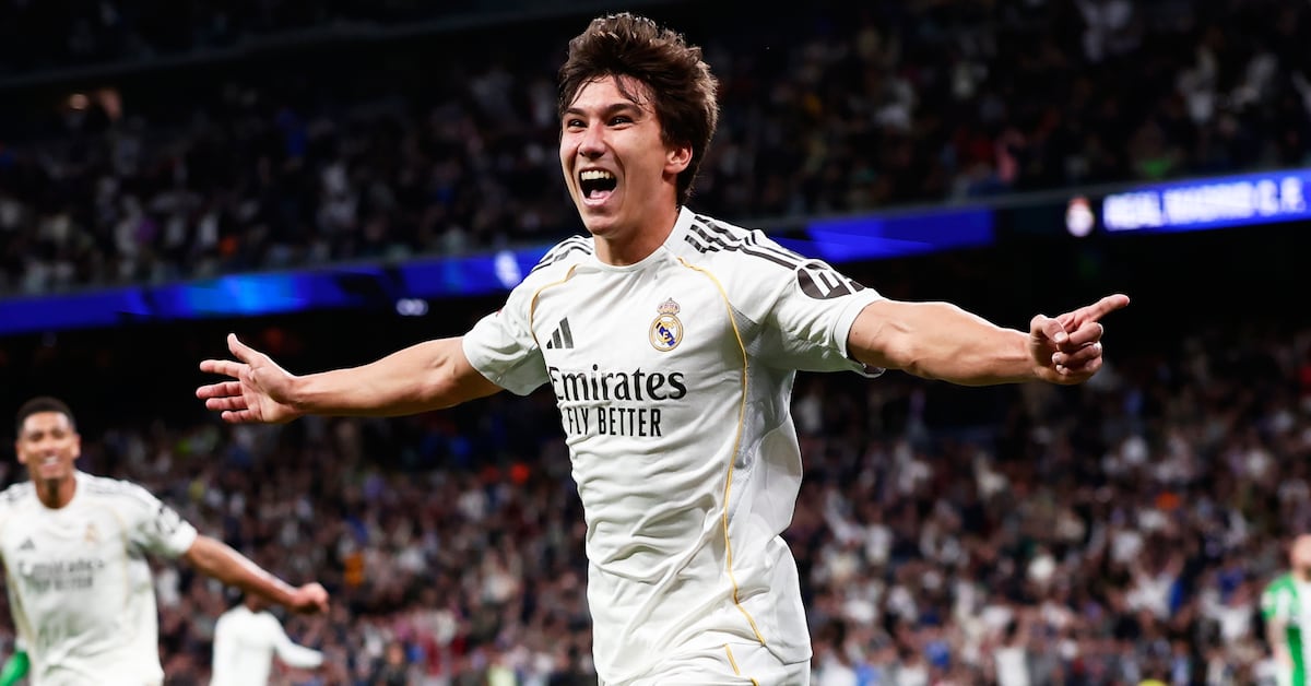 Imagen de Sdpnoticias