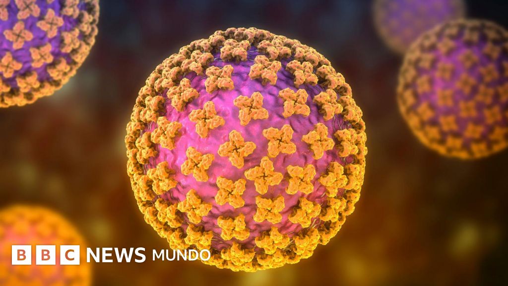 Imagen de Bbc