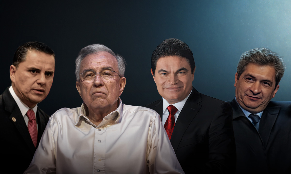Imagen de Elceo