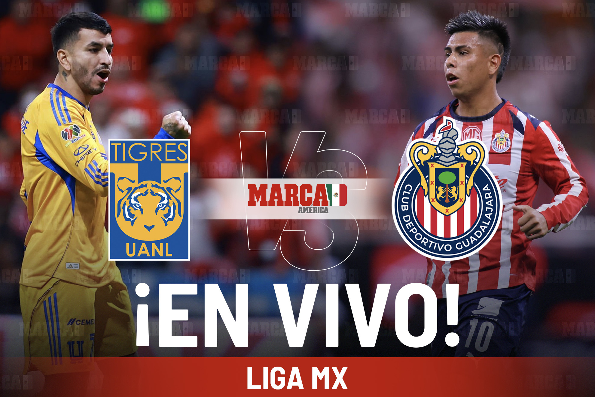 Imagen de Marca