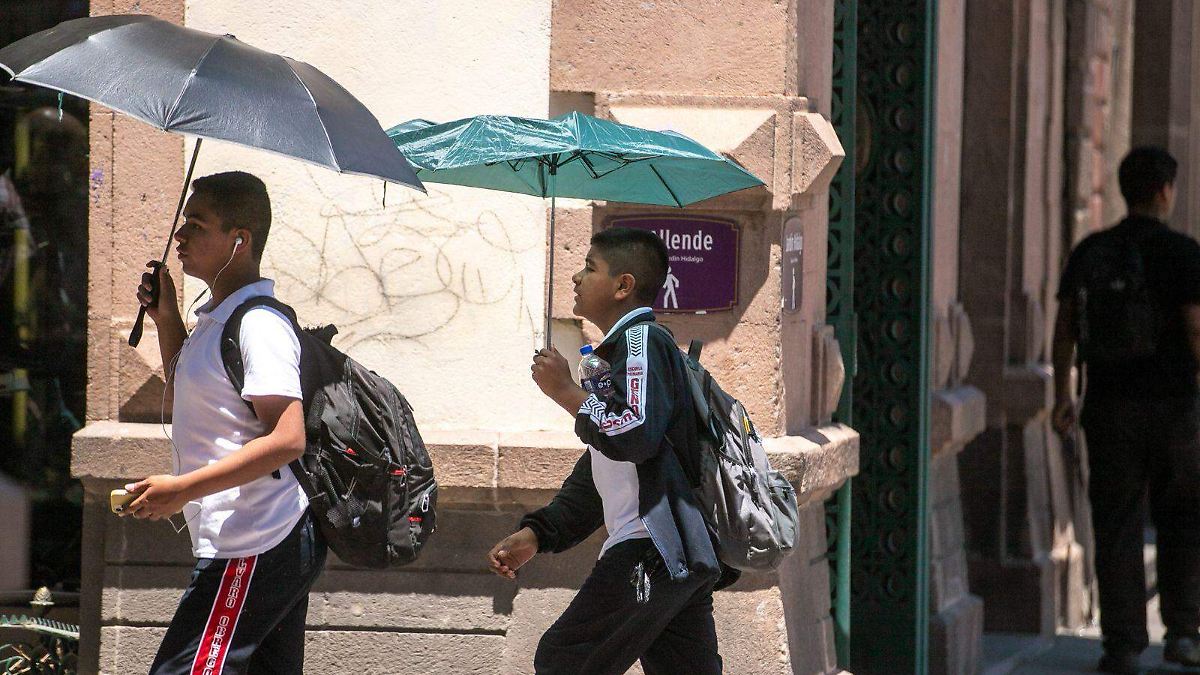 Imagen de Oem