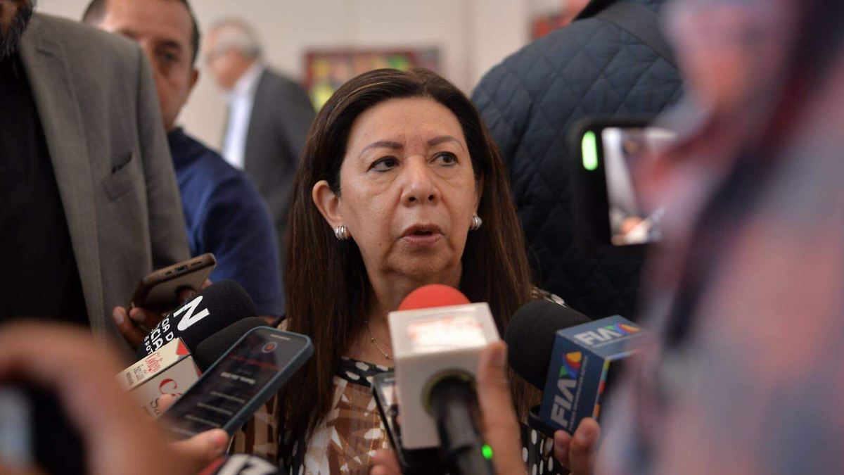 Imagen de Oem