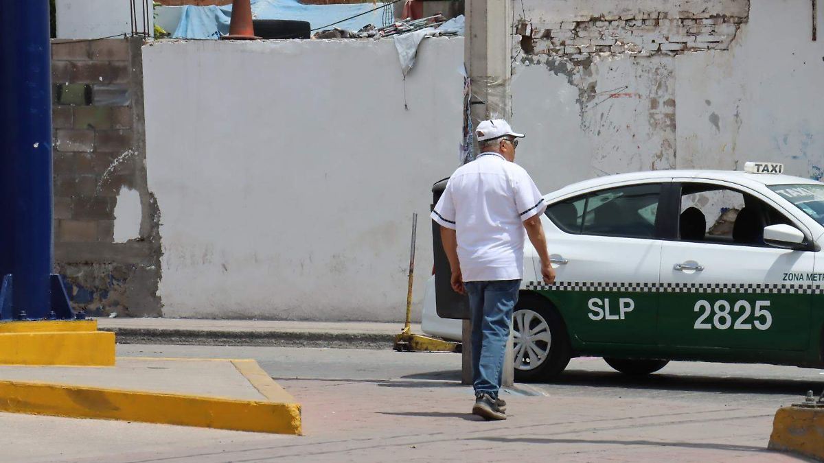 Imagen de Oem