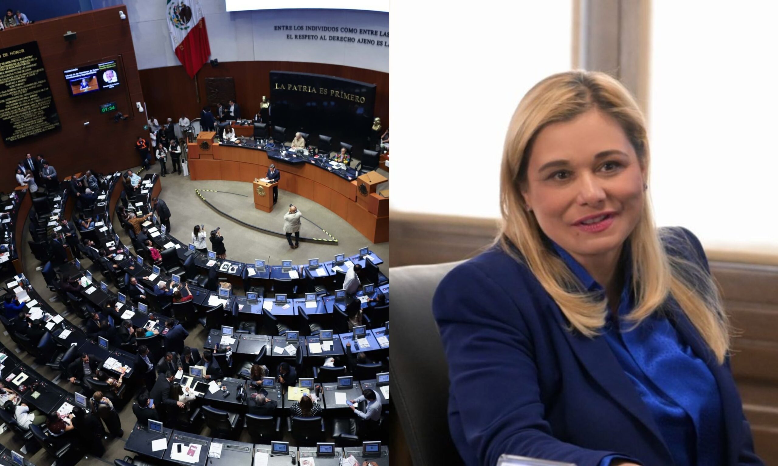 Imagen de Politico