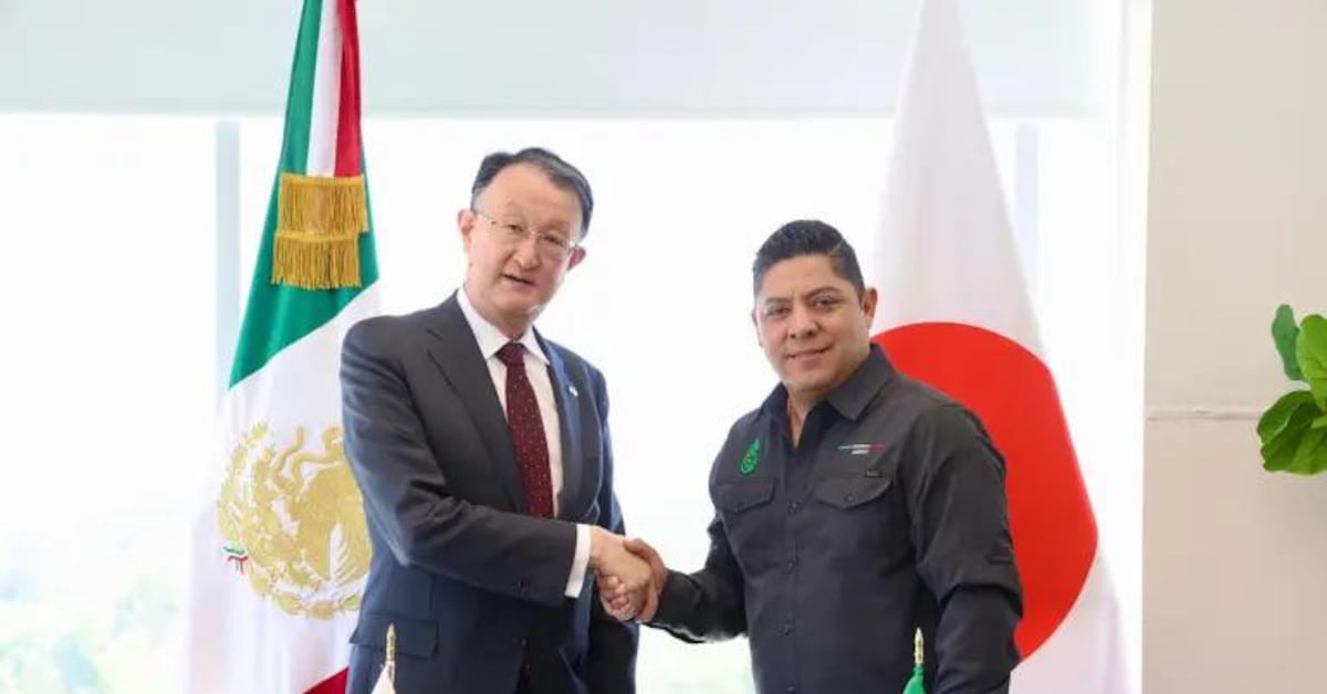 Imagen de Sdpnoticias