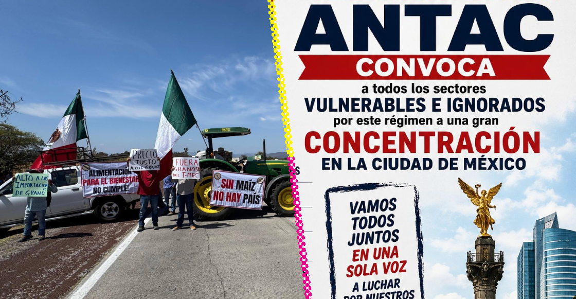 Imagen de Sopitas