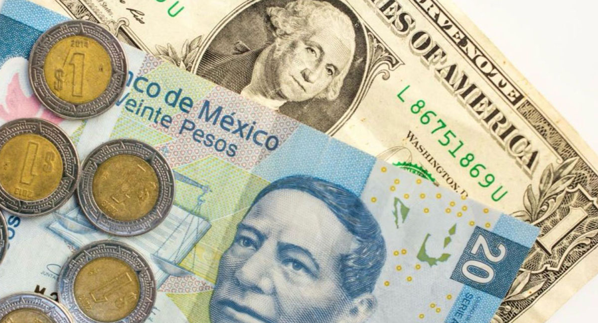 Imagen de Tribuna