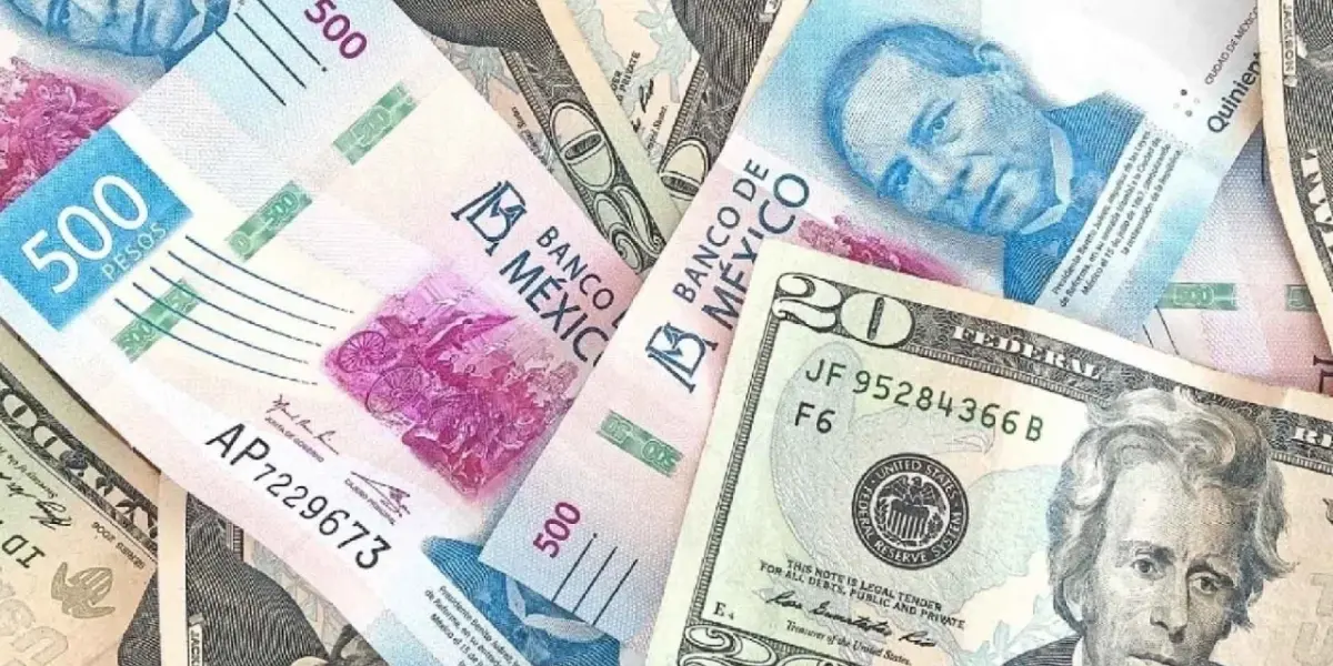 Imagen de Eleconomista