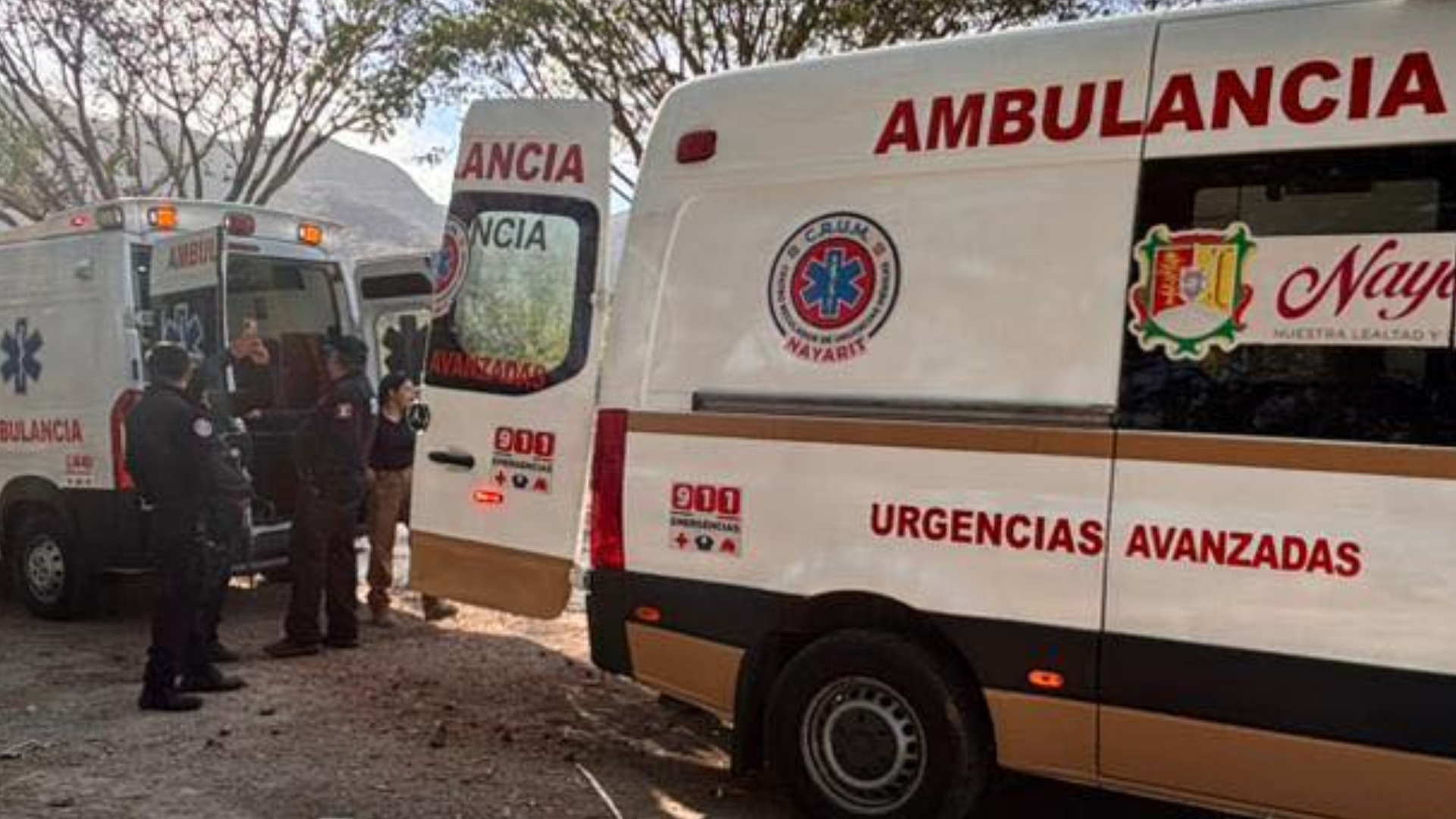 Imagen de Nmas
