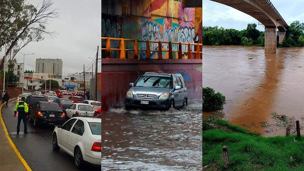 Imagen de Oem