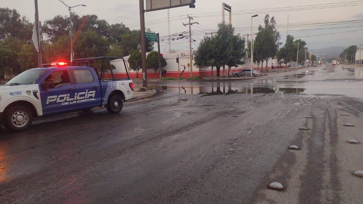 Imagen de Oem