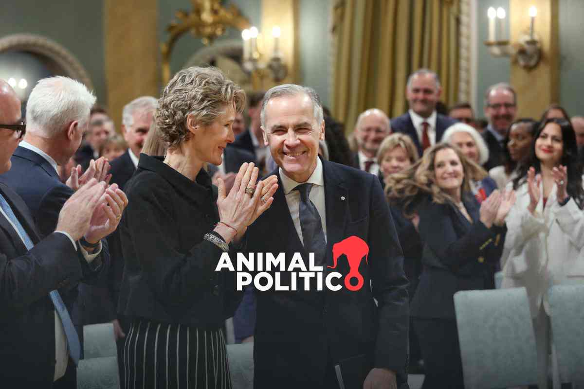 Imagen de Animalpolitico