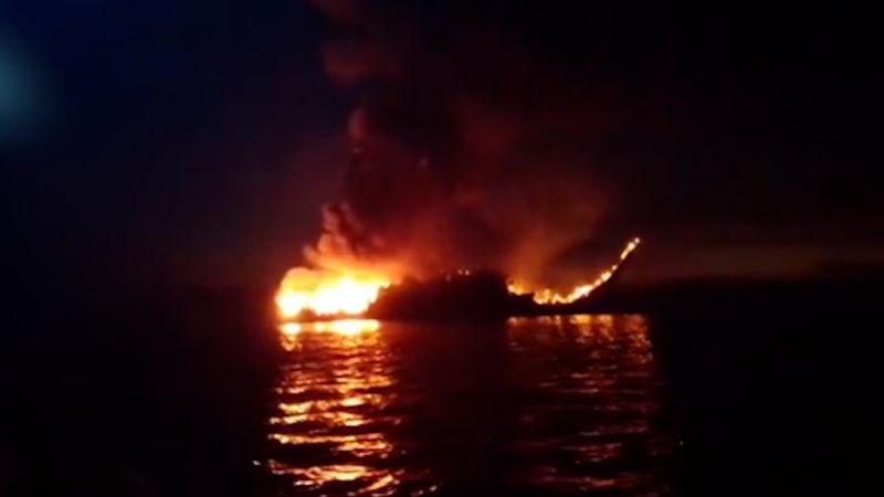 Imagen de Cnn