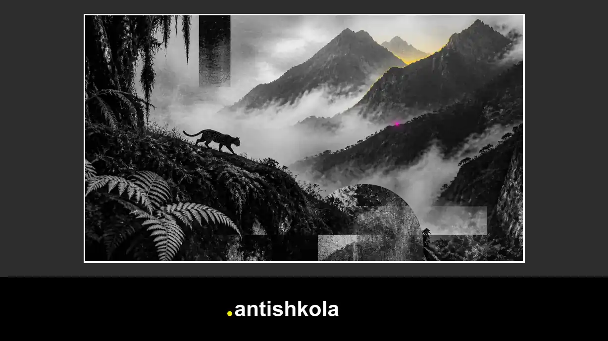 Imagen de Antishkola